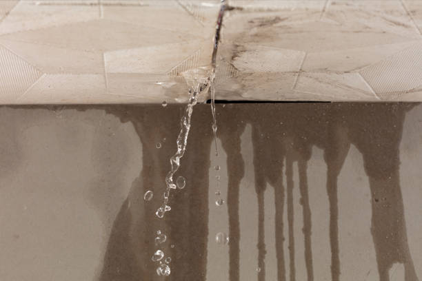 Professional Burst Pipe Cleanup technician working in Switzer, WV